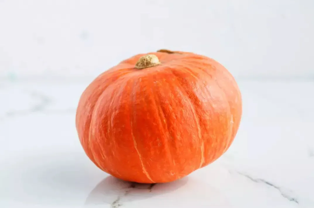 Baby Pumpkin export supply