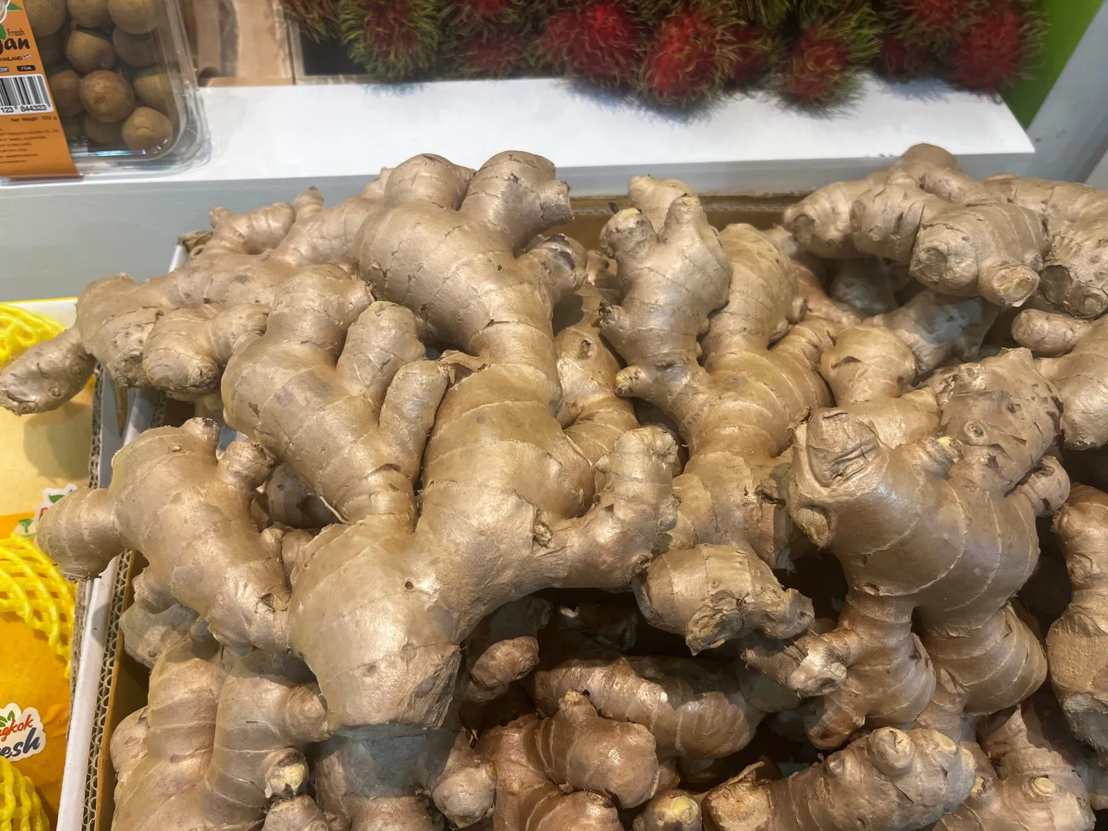 Fresh Ginger export supply