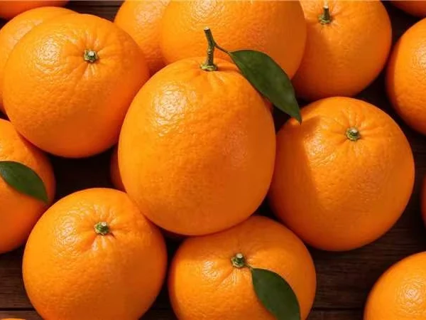 Navel Oranges export supply